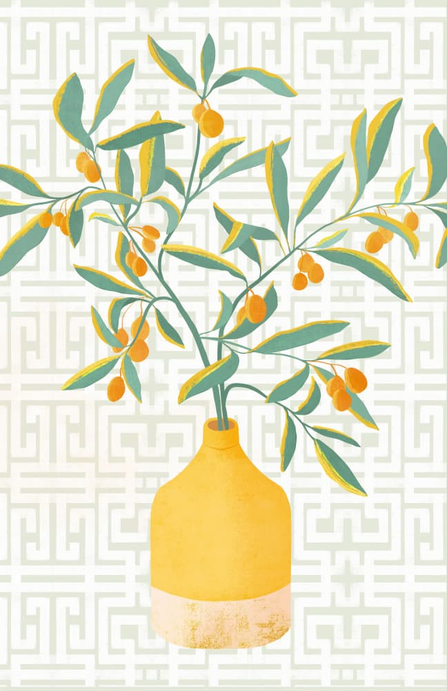 Chinese Citrus Tree by Kristian Gallagher — canvas wall art