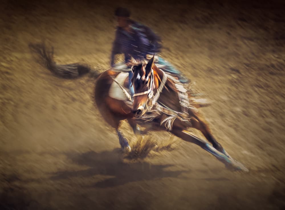 Dynamic Horse Gallop by Leeian Dai — canvas wall art