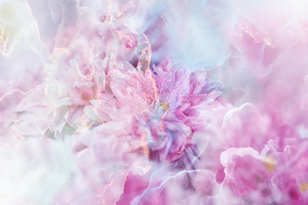 Ethereal Pink Blooms by Rafal Kulik — canvas wall art