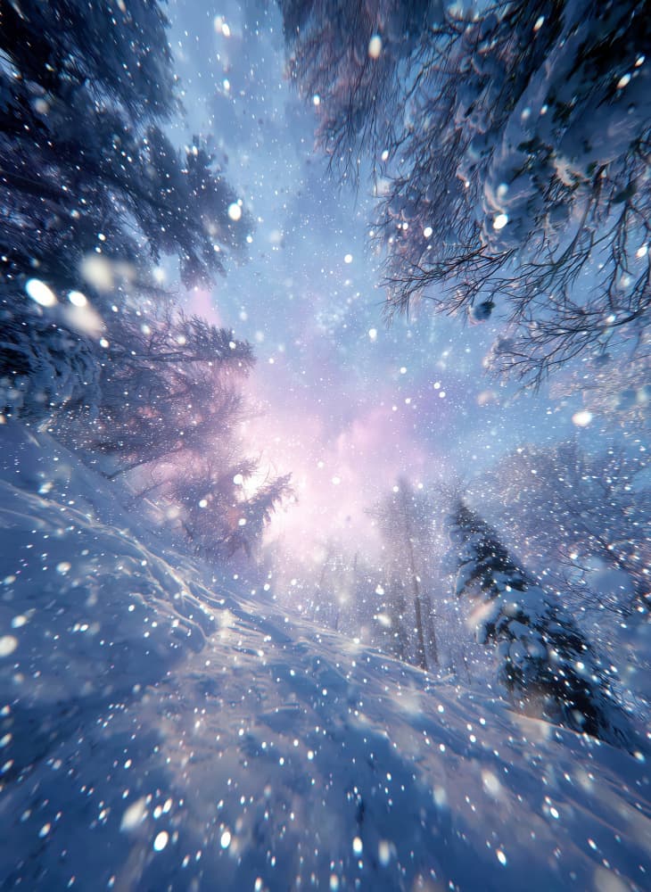 Dreamy Snowy Forest Glow by Justyna Jaszke — canvas wall art