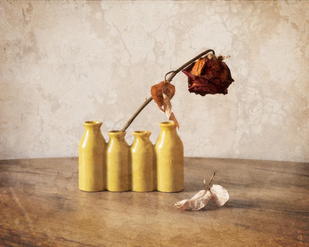 Rustic Rose Yellow Vases by Dani BS. — canvas wall art