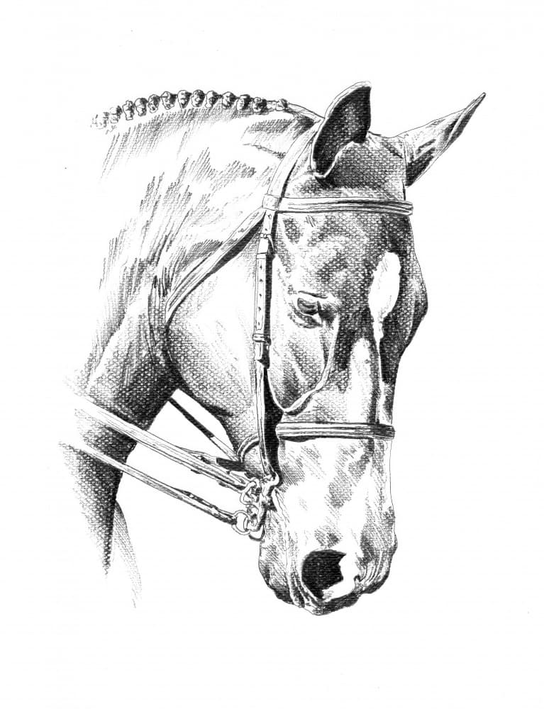 Braided Horse Portrait by Kulik — canvas wall art