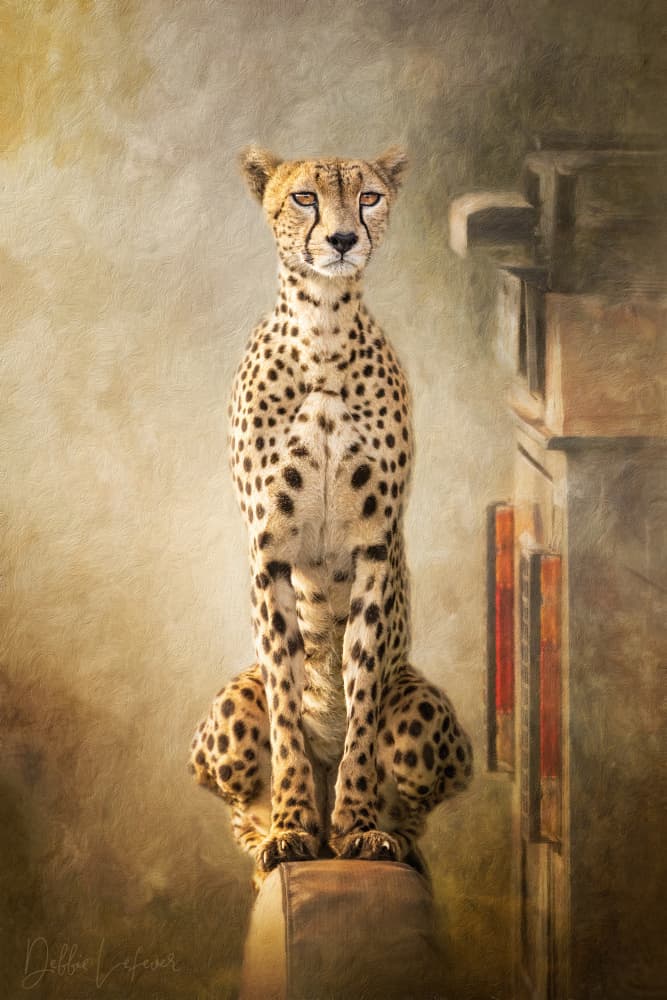 Regal Cheetah Portrait by Debbie Lefever — canvas wall art