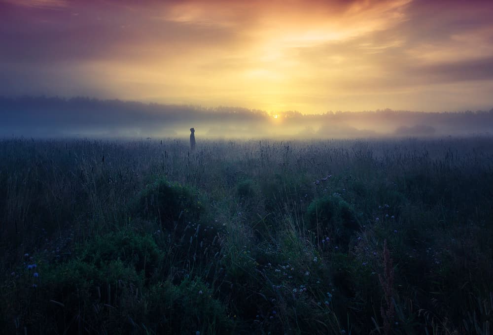 Misty Sunrise Solitude by Mika Suutari — canvas wall art