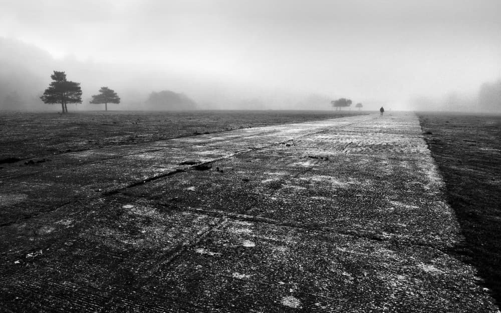 Misty Path Solitude by Mikel Lastra — canvas wall art