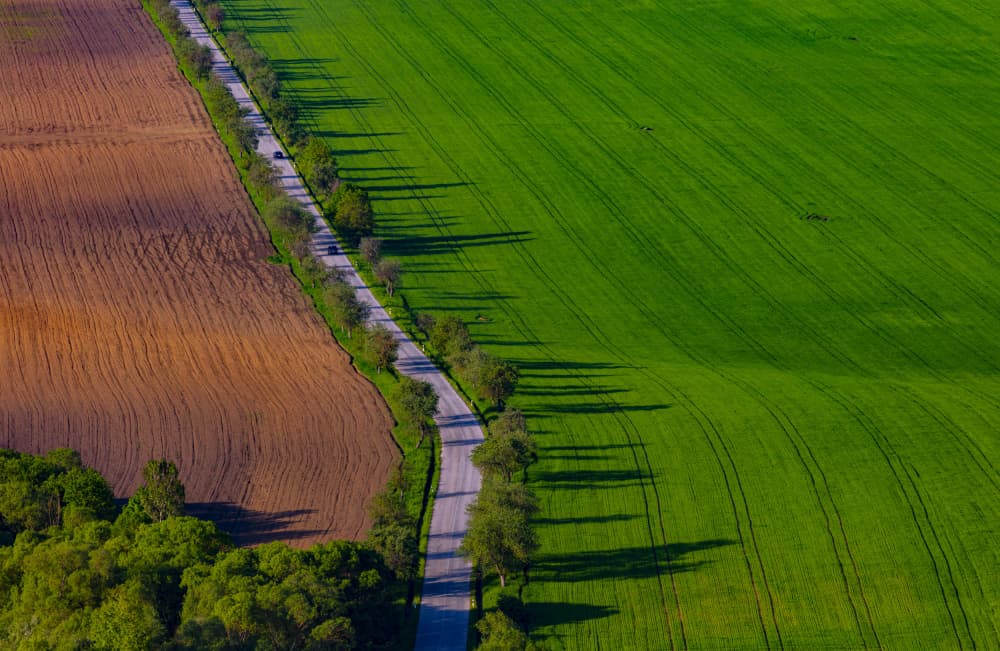 Vibrant Fields Country Road by Peter Hrabinsky — canvas wall art