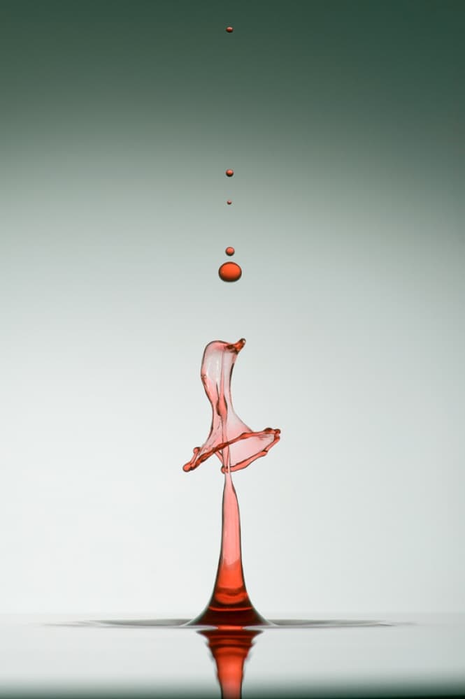 Elegant Fluid Dance by Veli Aydogdu — canvas wall art