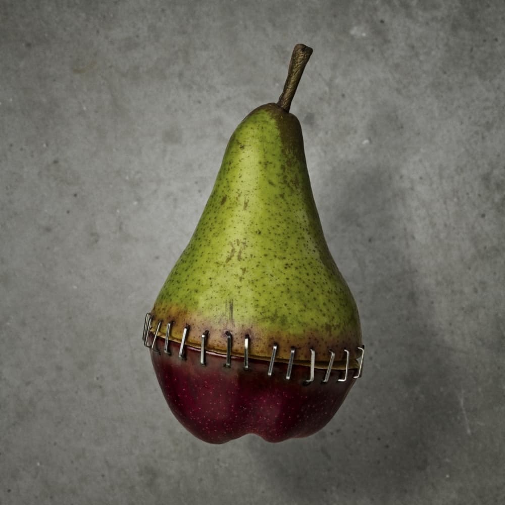 Stitched Hybrid Fruit by Mister Solo — canvas wall art