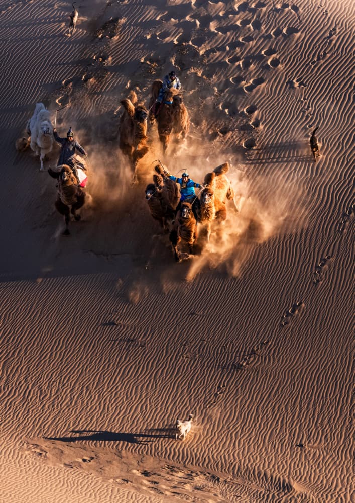Dusty Desert Adventure by Grace Guo APA — canvas wall art