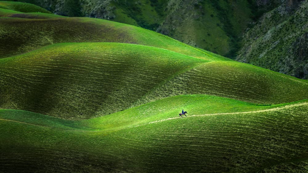 Rolling Green Hills Ride by Irene Wu — canvas wall art