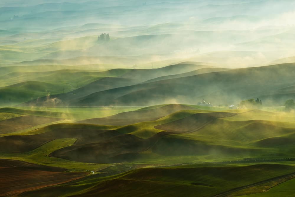 Golden Morning Hills by Jikui Shen — canvas wall art