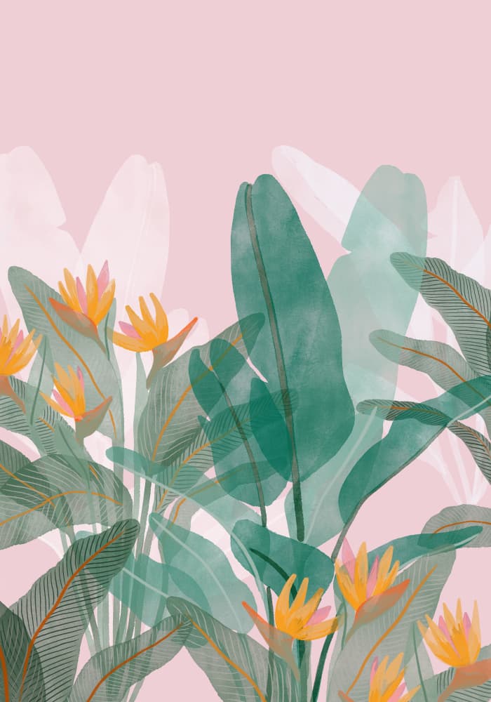 Botanical Pink by Goed Blauw — canvas wall art