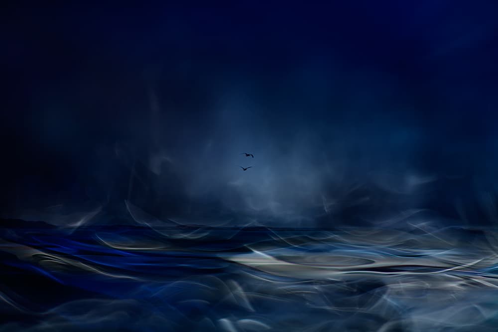 Deep Blue Ocean Flight by Willy Marthinussen — canvas wall art