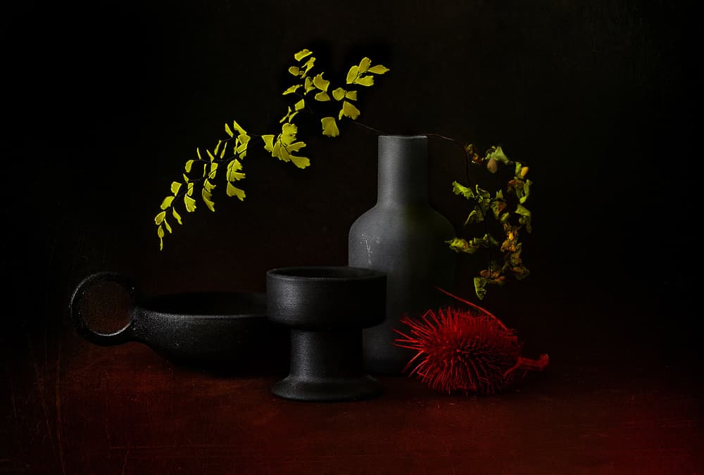 Dark Botanical Still Life by Elena Arjona — canvas wall art