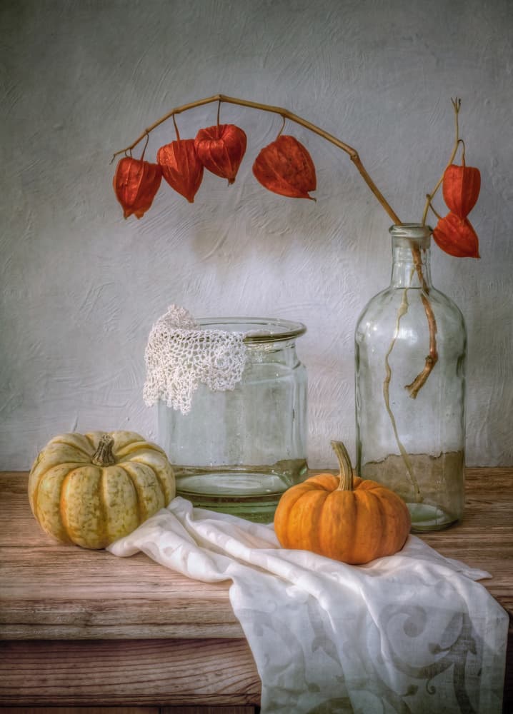 Still life with Physalis and Pumpkin by Mandy Disher — canvas wall art