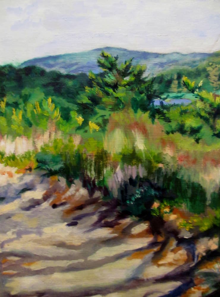 Sunlit Mountain Path by Maxine Shore — canvas wall art