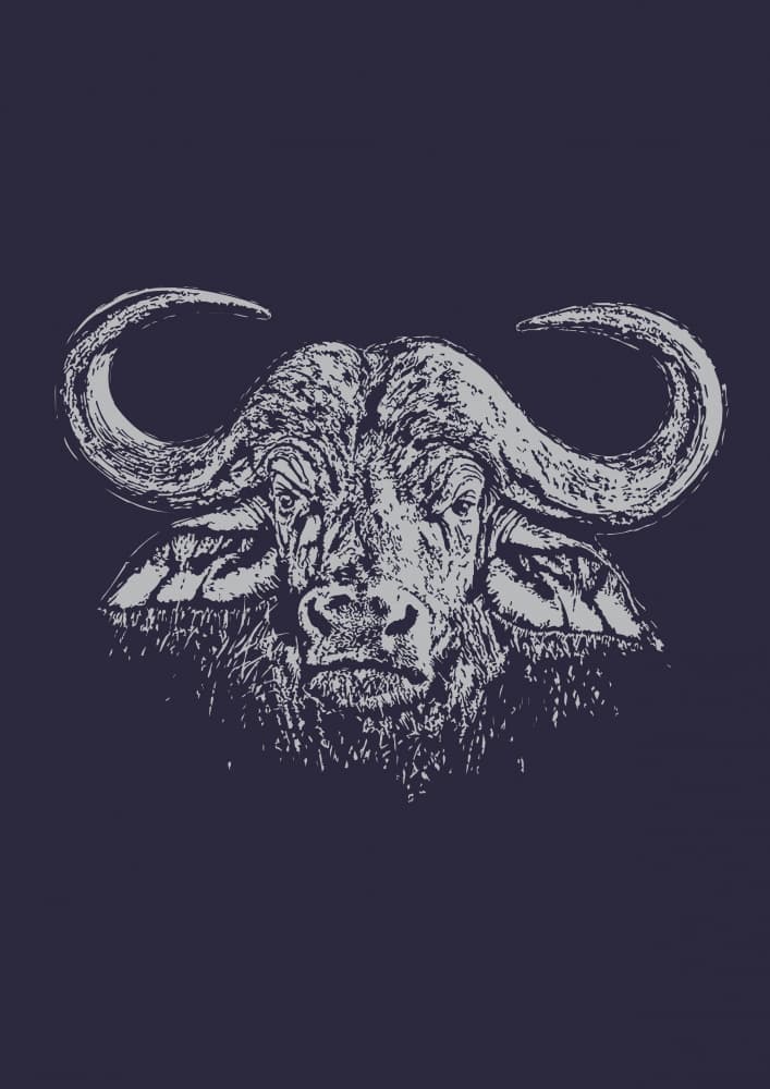 Majestic Cape Buffalo by Carlo Kaminski — canvas wall art