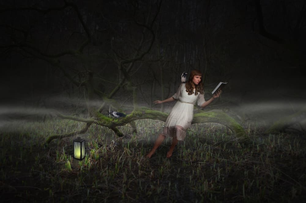 Misty Forest Reading Girl by Martin Marcisovsky — canvas wall art