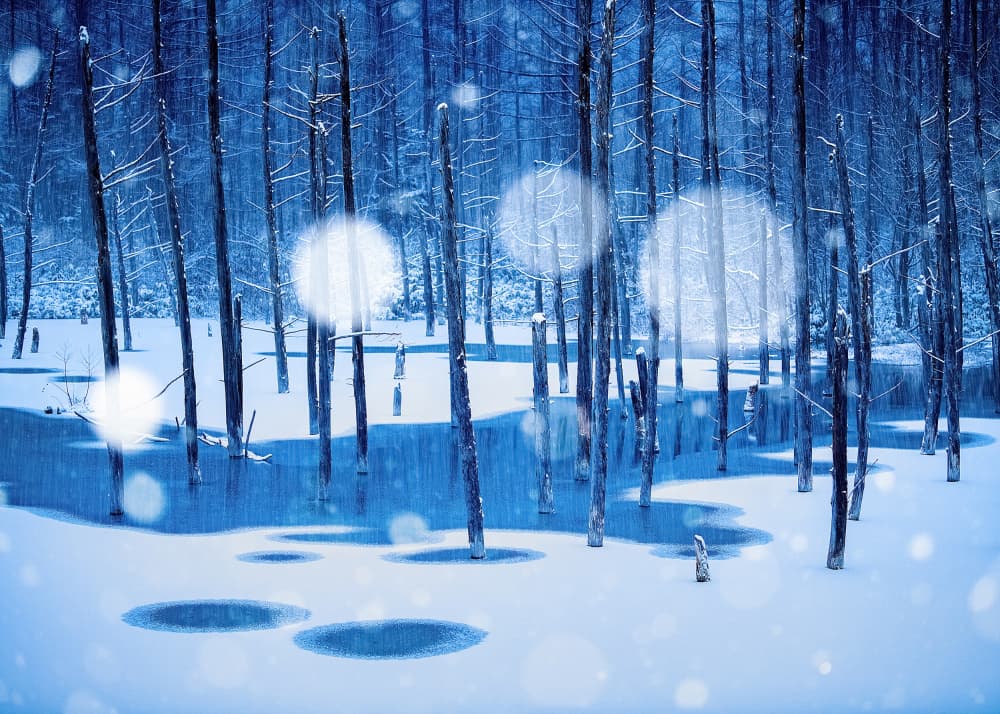 Blue Winter Pond by Hidenori Sono — canvas wall art