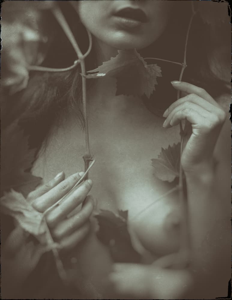Leaves from the vine by Jacob Tuinenga — canvas wall art