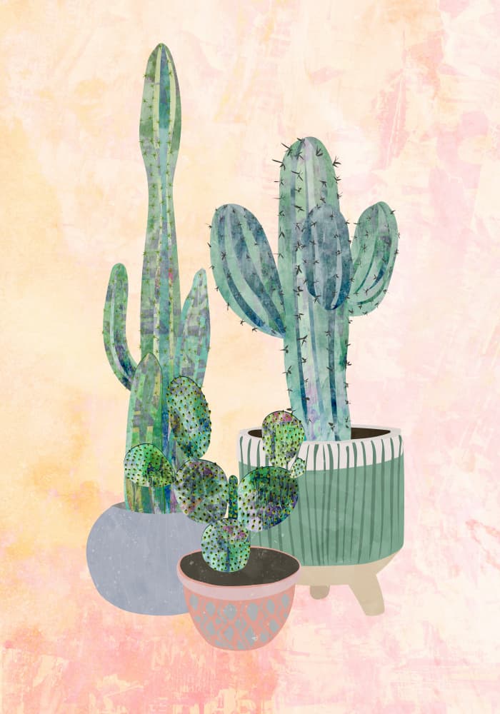 Green Cacti Collection by Sarah Manovski — canvas wall art