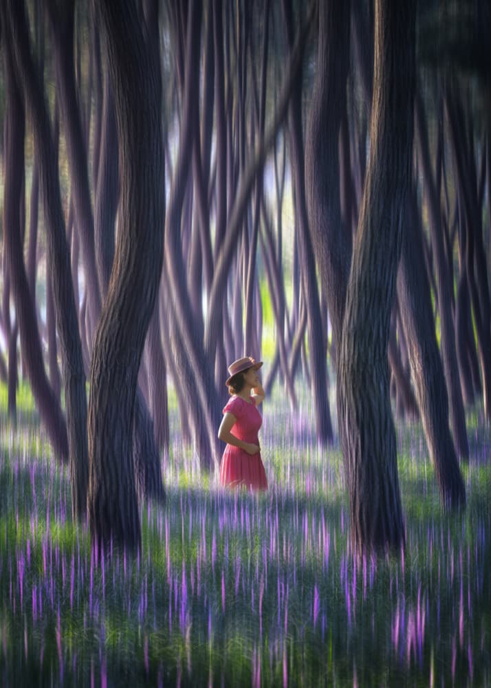 Dreamy Purple Forest by Tiger Seo — canvas wall art