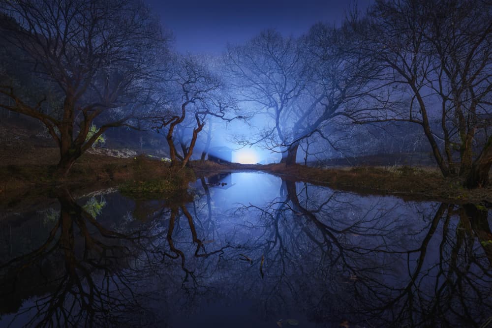 Blue Night Reflection by Tiger Seo — canvas wall art