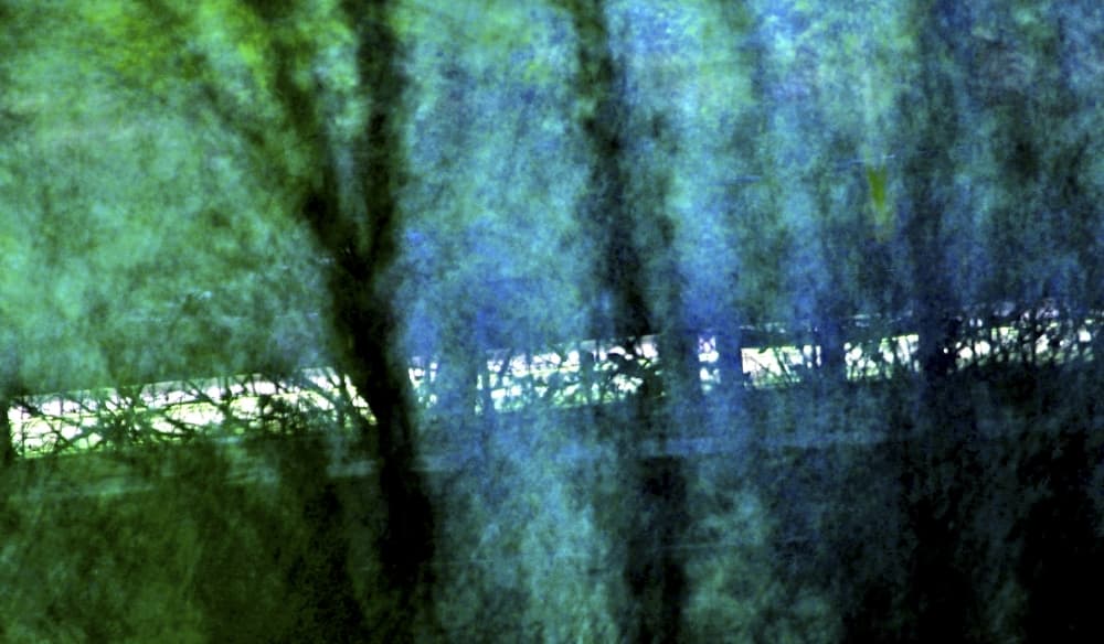 Ethereal Forest Blur by Jan Lykke — canvas wall art