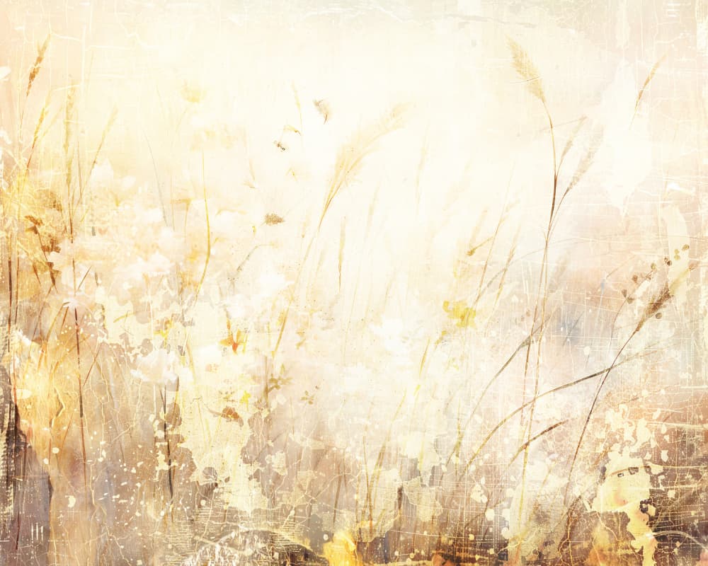 Soft Golden Meadow by Rafal Kulik — canvas wall art