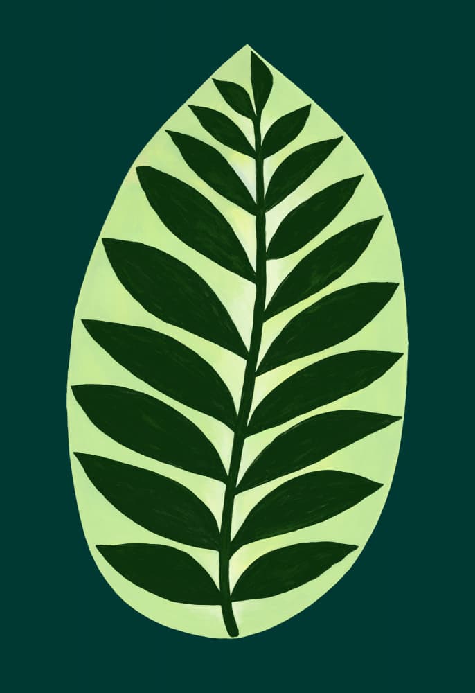 Green Botanical Leaf by Rosana Laiz Blursbyai — canvas wall art