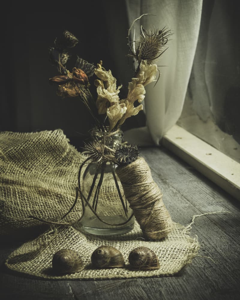Moody Autumn Still Life by Enrico Sottocorna — canvas wall art