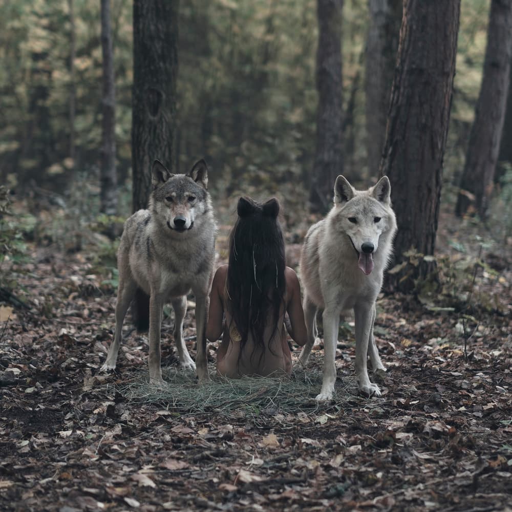 Wild Woman and Wolves by Olga Barantseva — canvas wall art