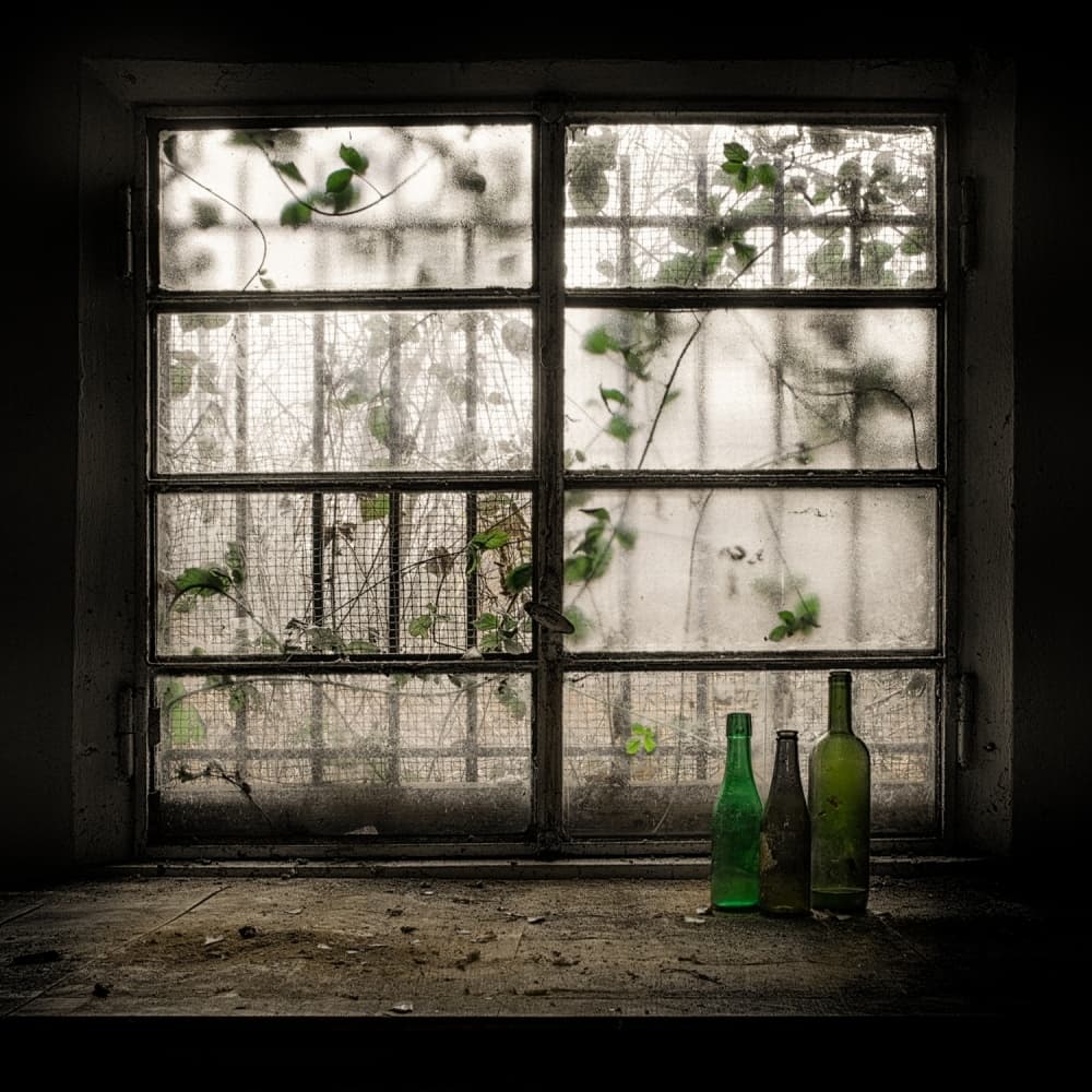 Forgotten Window Bottles by Vito Guarino — canvas wall art