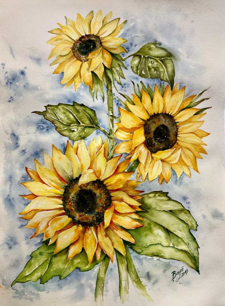 Vibrant Watercolor Sunflowers by Anda Bieza — canvas wall art
