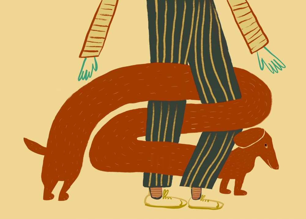 Long Dachshund Embrace