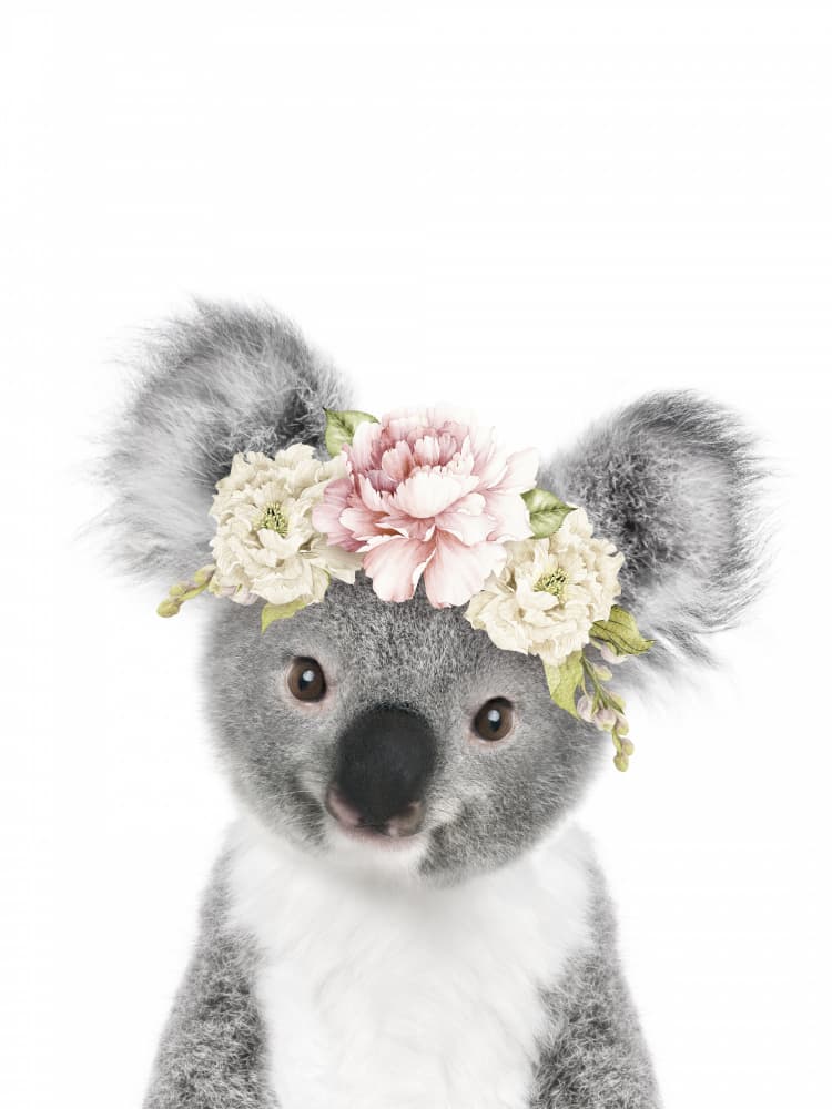 Cute Koala Flower Crown by Lila &amp; Lola — canvas wall art