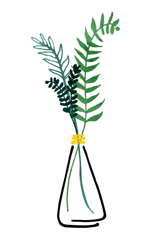 Herbal Bouquet Sketch 5 by Kristian Gallagher — canvas wall art