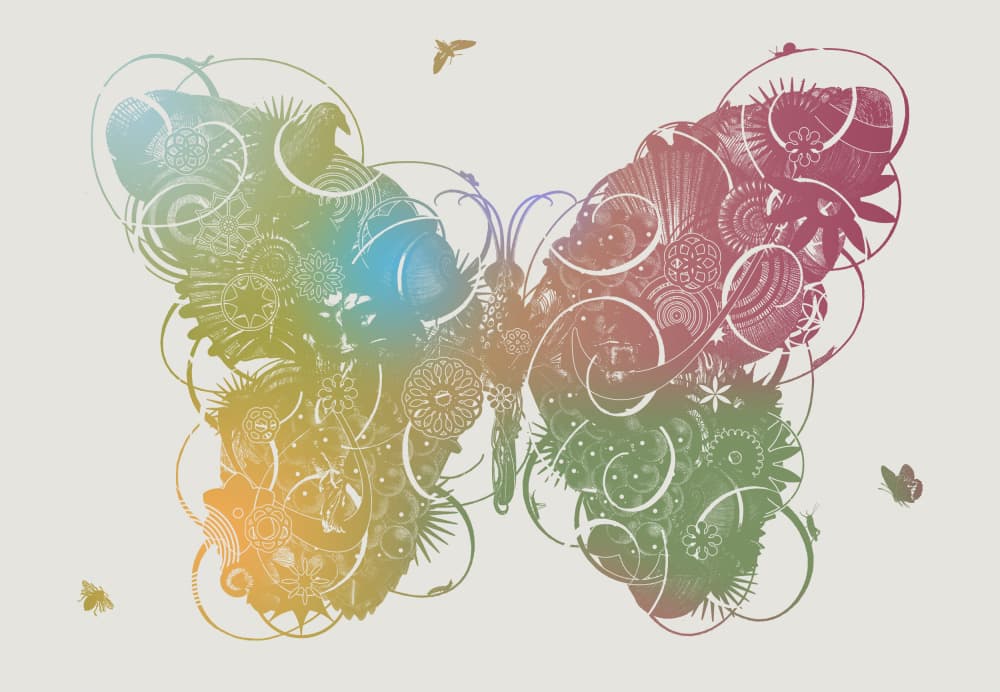 Intricate Rainbow Butterfly by Jaco Putker — canvas wall art