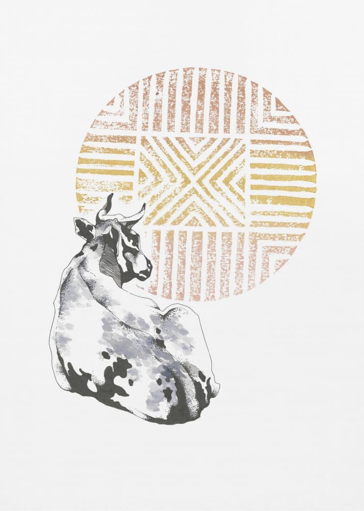 Bohemian Cow Sun by Roxanne Moolman — canvas wall art