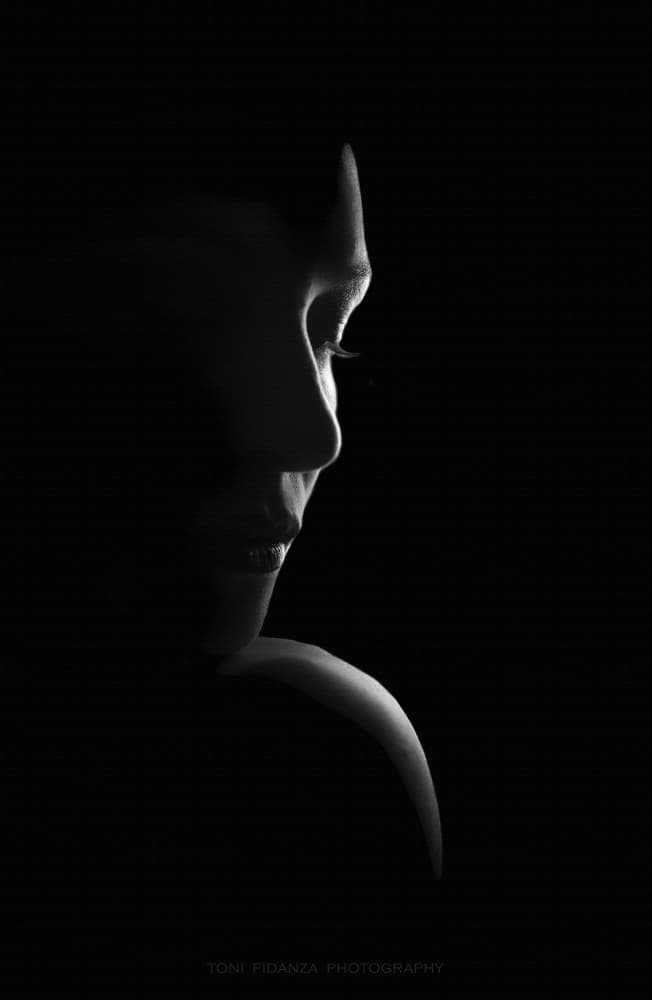 Dramatic Profile Light by Toni Fidanza — canvas wall art