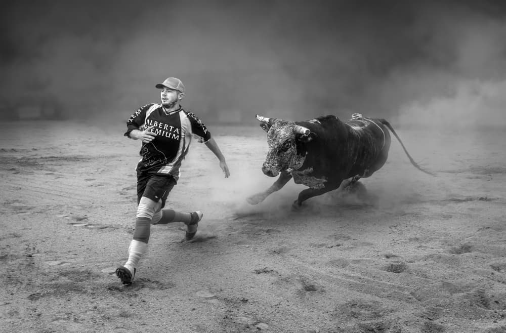 Intense Bull Run by Leeian Dai — canvas wall art