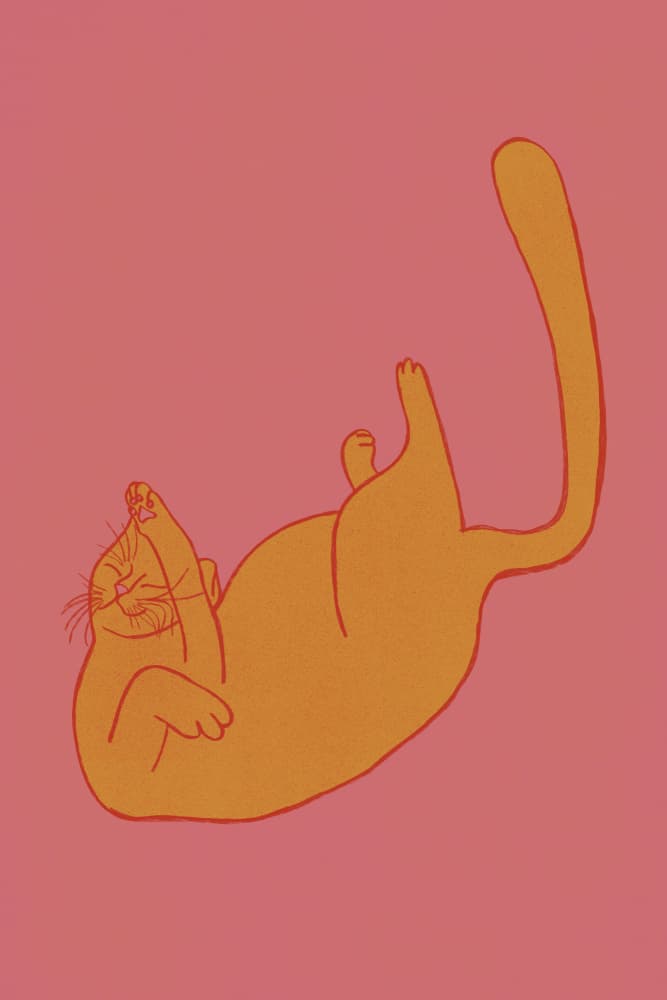 Playful Orange Cat by Mela Patterns — canvas wall art
