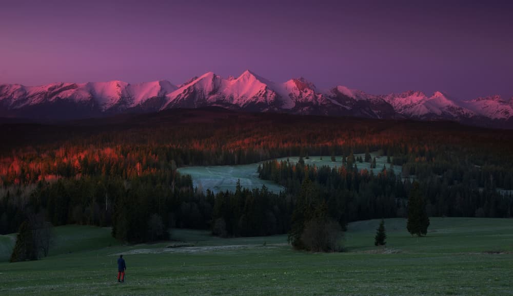 Purple Peaks Morning Glow by paralaxa — canvas wall art