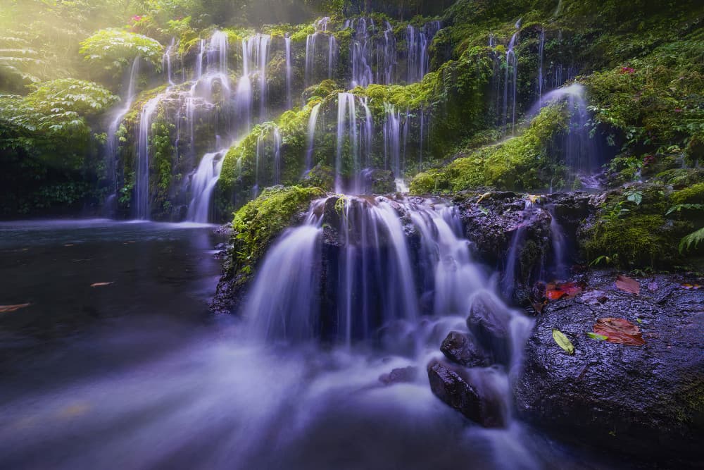 Serene Tropical Waterfall by Leah Xu — canvas wall art
