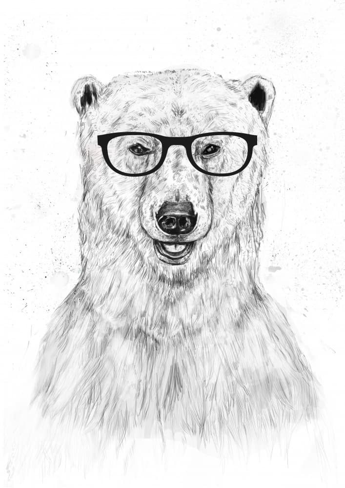 Cool Polar Bear With Glasses by Balazs Solti — canvas wall art