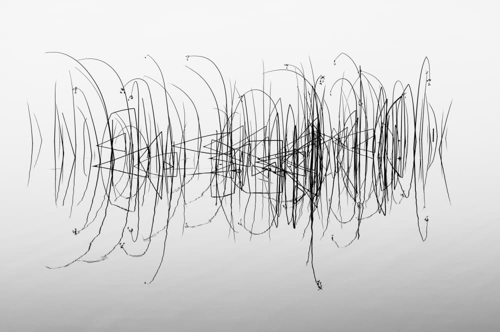 Abstract Water Reeds by Benny Pettersson — canvas wall art