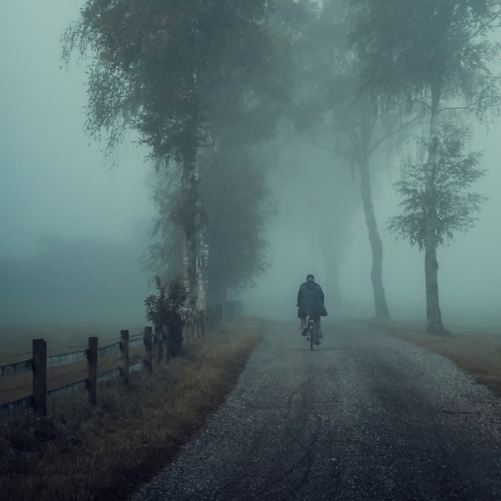 Misty Road Cyclist by Renate Wasinger — canvas wall art