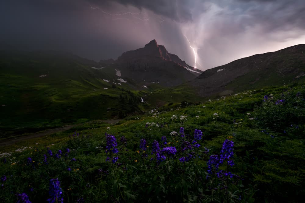 Wildflower Mountain Lightning by Ryan Dyar — canvas wall art