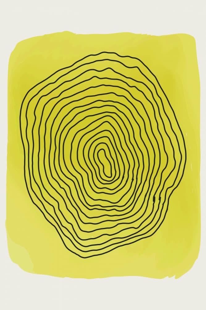 Yellow Concentric Lines by jay stanley — canvas wall art