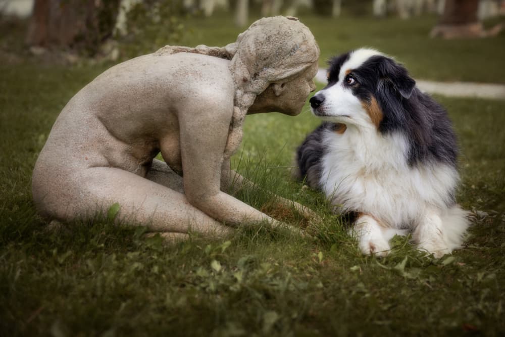 Dog and Statue Gaze by Hans Repelnig — canvas wall art